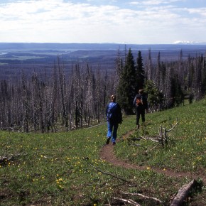 Hiker’s Snack FAQ:  Don’t leave home without 'em