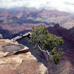 A "Vertigo" moment for the NPS