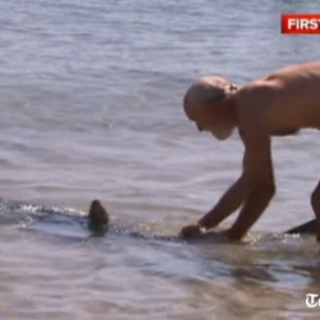 Old Brit wrestles shark, saves children