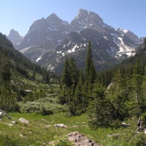 Are We Harvesting the National Parks?